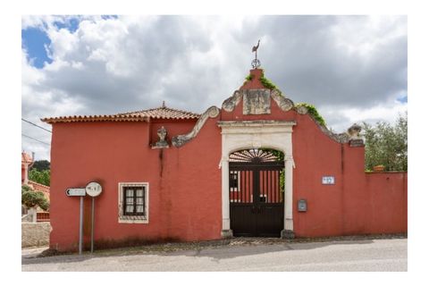 Landejendom i Gondemaria e Olival, Santarem, Gondemaria e Olival - € 1.750.000 | Ref: G-527 (3) - foto 7