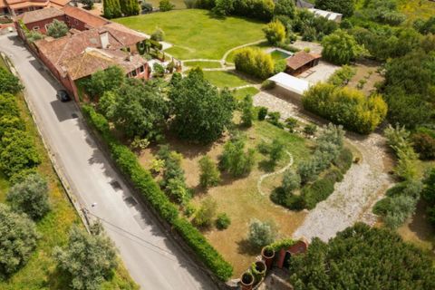Landejendom i Gondemaria e Olival, Santarem, Gondemaria e Olival - € 1.750.000 | Ref: G-527 (3) - foto 8