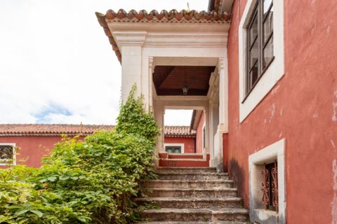 Landejendom i Gondemaria e Olival, Santarem, Gondemaria e Olival - € 1.750.000 | Ref: G-527 (3) - foto 22