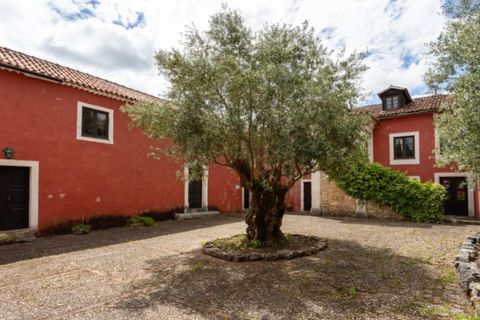 Landejendom i Gondemaria e Olival, Santarem, Gondemaria e Olival - € 1.750.000 | Ref: G-527 (3) - foto 23