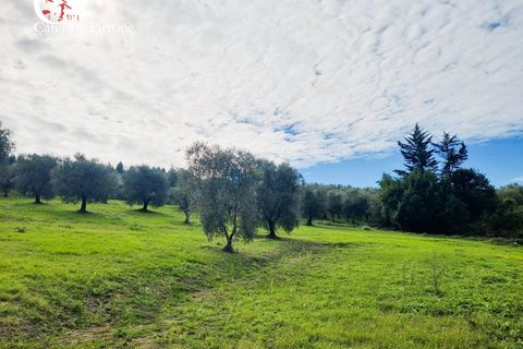 Villa a Pontassieve, Florence, Pontassieve - € 950.000 | Ref: CAT71 - foto 14