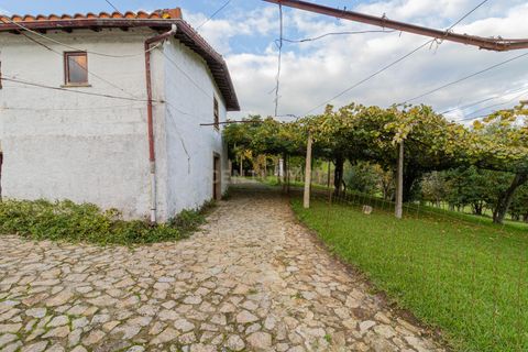 Farm hus i Vila Verde, Braga, Vila Verde - € 600.000 | Ref: C0257-01421 - foto 26