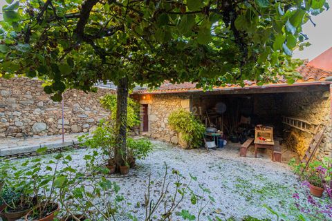Farm hus i Vila Verde, Braga, Vila Verde - € 600.000 | Ref: C0257-01421 - foto 43
