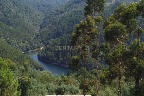 Helårsgrund i Paredes, Porto, Paredes - € 114.000 | Ref: C0256-03153 - foto 3