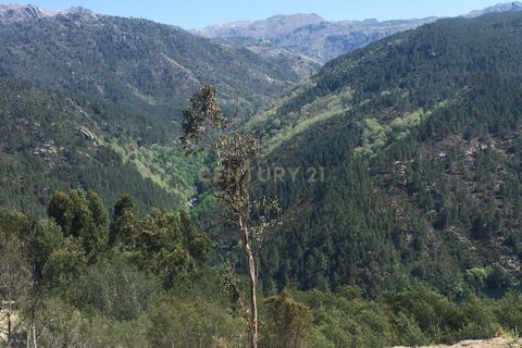 Helårsgrund i Paredes, Porto, Paredes - € 114.000 | Ref: C0256-03153 - foto 8