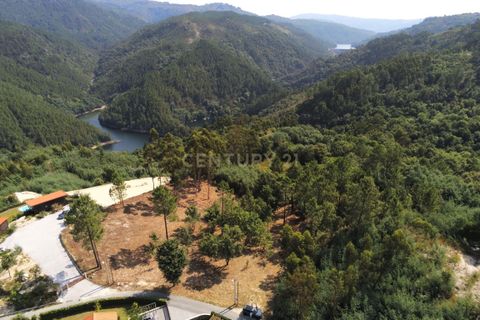 Helårsgrund i Paredes, Porto, Paredes - € 114.000 | Ref: C0256-03153 - foto 11