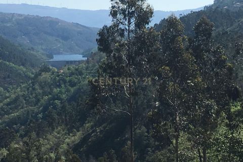Helårsgrund i Paredes, Porto, Paredes - € 114.000 | Ref: C0256-03153 - foto 13
