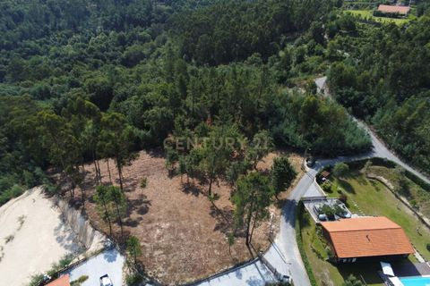 Helårsgrund i Paredes, Porto, Paredes - € 114.000 | Ref: C0256-03153 - foto 15