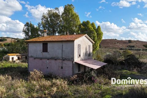 Herregård i Capalbio, Grosseto, Capalbio - € 950 000 | Ref: v-225 - foto 2