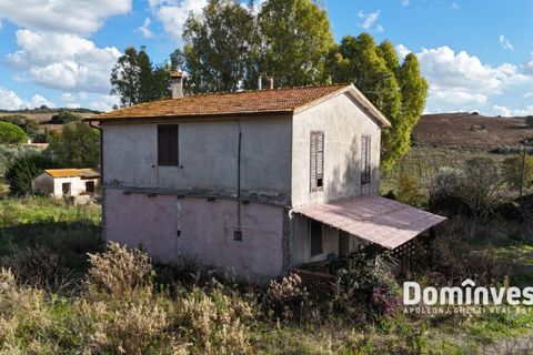 Herregård i Capalbio, Grosseto, Capalbio - € 950 000 | Ref: v-225 - foto 3