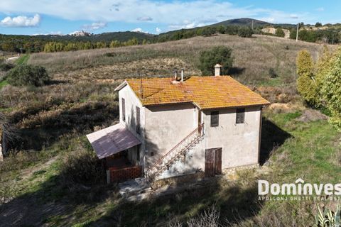 Herregård i Capalbio, Grosseto, Capalbio - € 950 000 | Ref: v-225 - foto 4