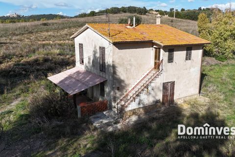 Herregård i Capalbio, Grosseto, Capalbio - € 950 000 | Ref: v-225 - foto 6
