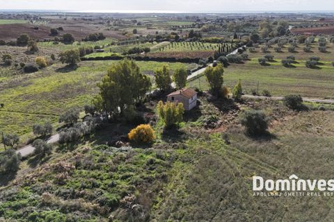 Herregård i Capalbio, Grosseto, Capalbio - € 950 000 | Ref: v-225 - foto 8