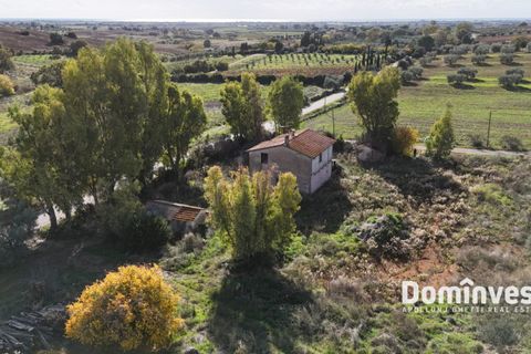 Herregård i Capalbio, Grosseto, Capalbio - € 950 000 | Ref: v-225 - foto 9