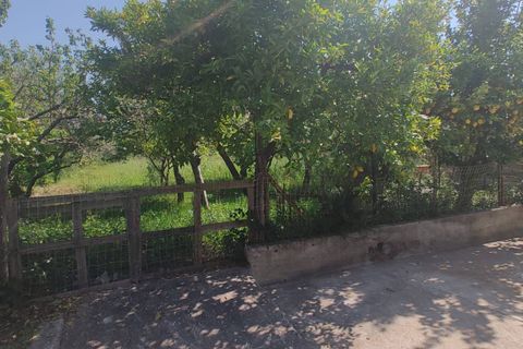 Villa i Eboli, Salerno, Eboli - € 230.000 | Ref: AV01-1014 - foto 17