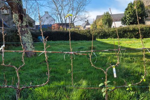 Villa i Lignol, Morbihan, Lignol - € 126.500 | Ref: 429827ALGA - foto 3
