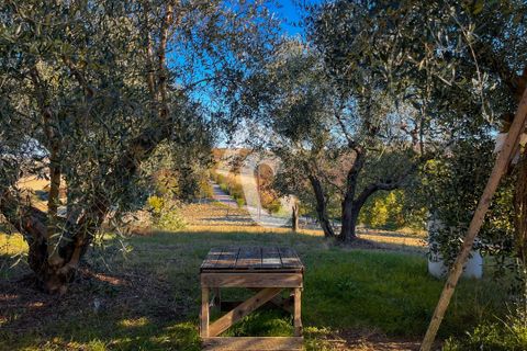Villa a Montecarotto, Ancona, Montecarotto - € 160.000 | Ref: 1C_67236 - foto 5