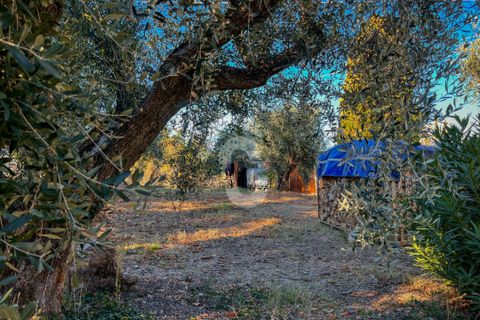 Villa a Montecarotto, Ancona, Montecarotto - € 160.000 | Ref: 1C_67236 - foto 8