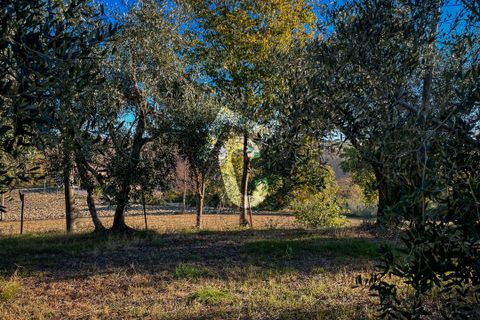 Villa a Montecarotto, Ancona, Montecarotto - € 160.000 | Ref: 1C_67236 - foto 10