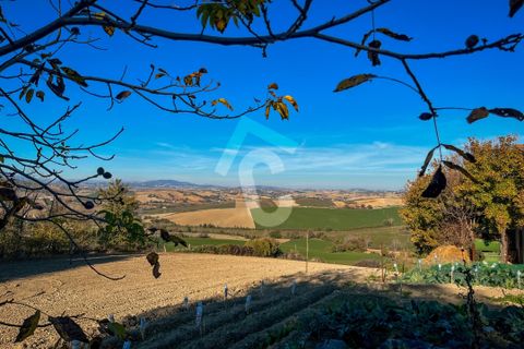 Villa a Montecarotto, Ancona, Montecarotto - € 160.000 | Ref: 1C_67236 - foto 14