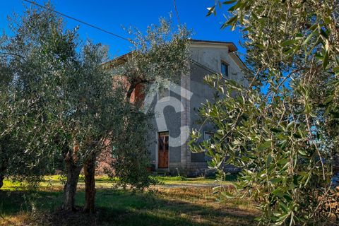 Villa a Montecarotto, Ancona, Montecarotto - € 160.000 | Ref: 1C_67236 - foto 15