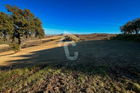Villa a Montecarotto, Ancona, Montecarotto - € 160.000 | Ref: 1C_67236 - foto 39