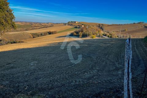 Villa a Montecarotto, Ancona, Montecarotto - € 160.000 | Ref: 1C_67236 - foto 40