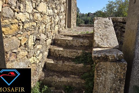 Villa i Tomar, Santarem, Tomar - € 59.000 | Ref: 00648 - foto 3