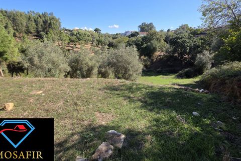 Villa i Tomar, Santarem, Tomar - € 59.000 | Ref: 00648 - foto 17