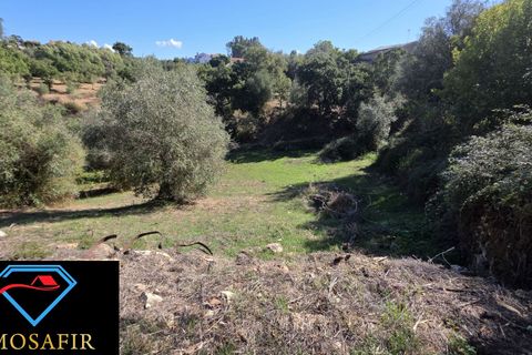 Villa i Tomar, Santarem, Tomar - € 59.000 | Ref: 00648 - foto 18