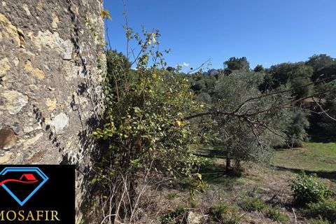 Villa i Tomar, Santarem, Tomar - € 59.000 | Ref: 00648 - foto 27