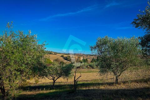 Villa a Senigallia, Ancona, Senigallia - € 400.000 | Ref: 3548 - foto 4