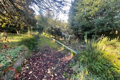 Rækkehus i Sezze, Latina, Sezze - € 129.000 | Ref: 3138 - foto 3