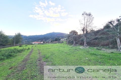 Farm i Arcos de Valdevez, Viana do Castelo, Arcos de Valdevez - € 155.000 | Ref: 7187 - foto 4