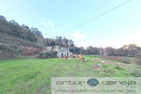 Farm i Arcos de Valdevez, Viana do Castelo, Arcos de Valdevez - € 155.000 | Ref: 7187 - foto 5