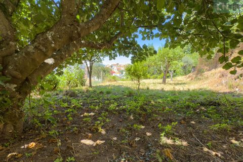 Villa i Gouveia, Guarda, Gouveia - € 820.000 | Ref: 25760 - foto 31