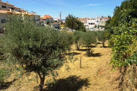 Villa i Gouveia, Guarda, Gouveia - € 820.000 | Ref: 25760 - foto 32