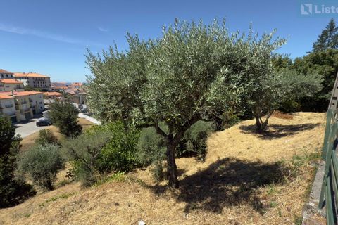 Villa i Gouveia, Guarda, Gouveia - € 820.000 | Ref: 25760 - foto 36