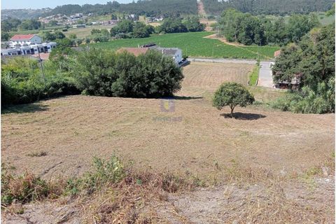 Helårsgrund i Leiria, Leiria, Leiria - € 80.000 | Ref: LIZ-216602 - foto 8
