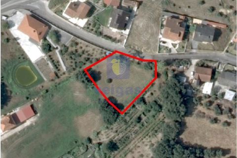 Helårsgrund i Leiria, Leiria, Leiria - € 80.000 | Ref: LIZ-216602 - foto 9