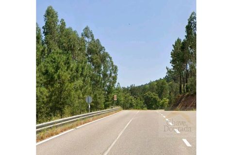 Helårsgrund i Espinhal, Coimbra, Espinhal - € 40.000 | Ref: 15610 - foto 3