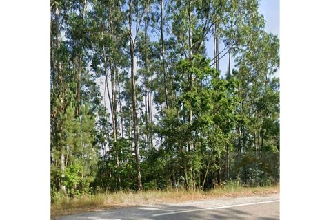 Helårsgrund i Espinhal, Coimbra, Espinhal - € 40.000 | Ref: 15610 - foto 4