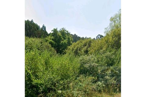 Helårsgrund i Espinhal, Coimbra, Espinhal - € 40.000 | Ref: 15610 - foto 5