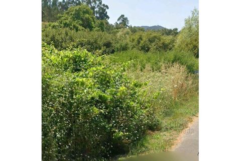 Helårsgrund i Espinhal, Coimbra, Espinhal - € 40.000 | Ref: 15610 - foto 7