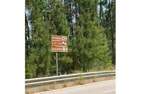 Helårsgrund i Espinhal, Coimbra, Espinhal - € 40.000 | Ref: 15610 - foto 8