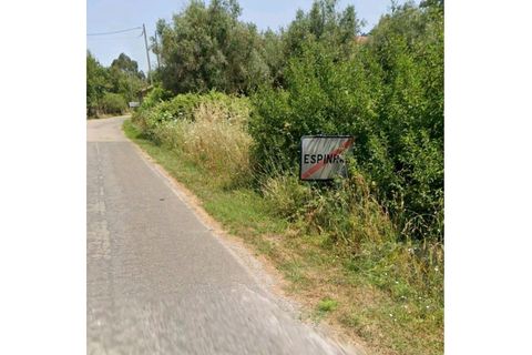 Helårsgrund i Espinhal, Coimbra, Espinhal - € 40.000 | Ref: 15610 - foto 9