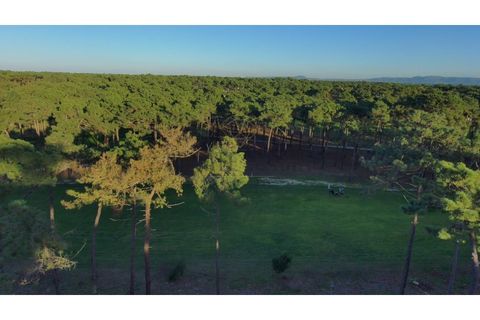 Villa i Almada, Setubal, Almada - € 1.650.000 | Ref: 8951_2 - foto 4