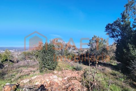 Helårsgrund i Ansiao, Leiria, Ansiao - € 31.300 | Ref: 8306 - foto 6