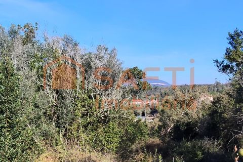 Helårsgrund i Ansiao, Leiria, Ansiao - € 31.300 | Ref: 8306 - foto 7