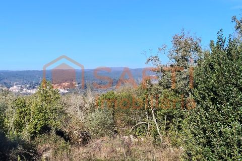 Helårsgrund i Ansiao, Leiria, Ansiao - € 31.300 | Ref: 8306 - foto 2